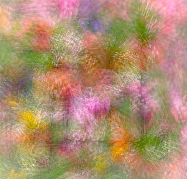 Jaynes Gallery 아티스트의 Colorful floral abstract작품입니다.